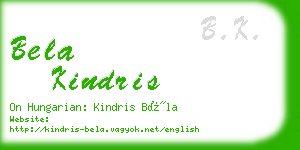 bela kindris business card